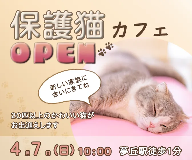 保護猫カフェバナー